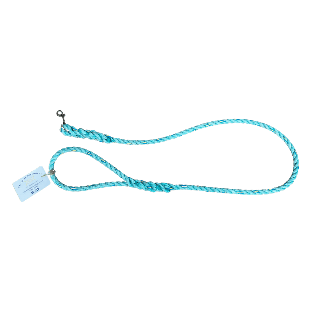 Castaway Ropeworks - recycled rope dog lead - blue