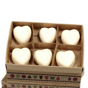 Box of 6 Wax Melts - natural and pet friendly