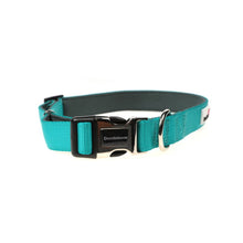 Load image into Gallery viewer, Originals Padded Dog Collar
